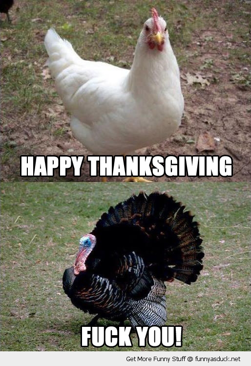 funny-happy-thanksgiving-fuck-you-chicken-turkey-gobble-pics